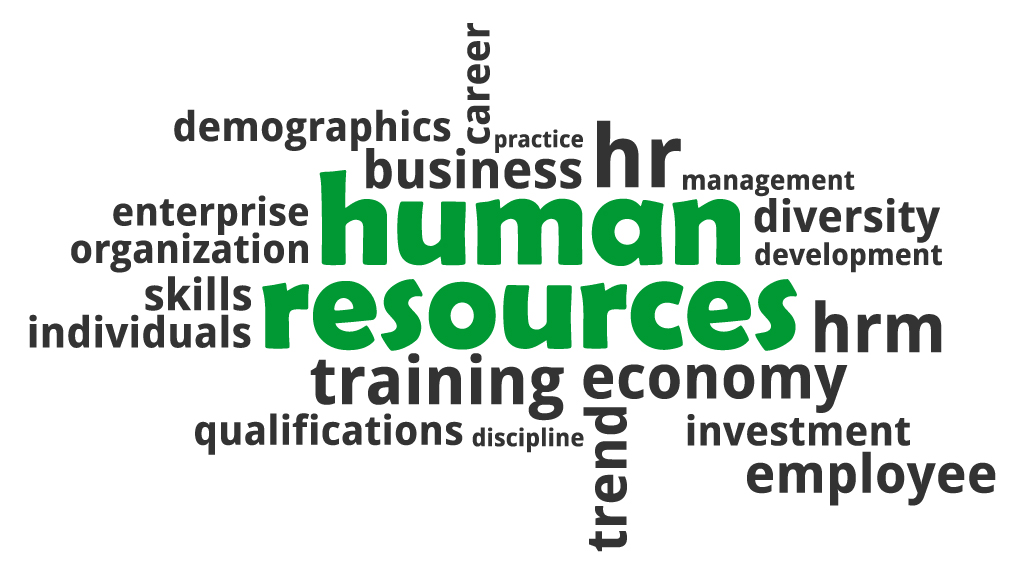 Top HR Trends Shaping Small and Medium-Sized Businesses in 2025